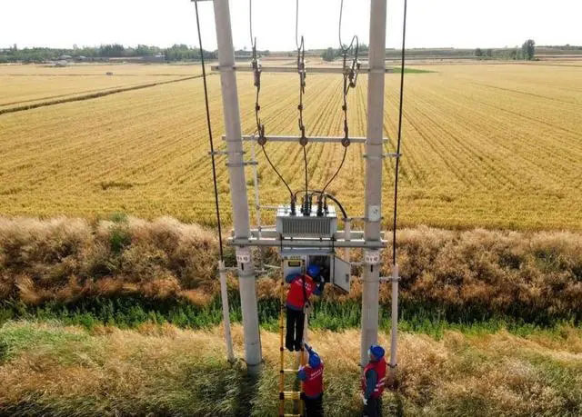 配電箱助力“電力?！报D農(nóng)民有了“電力?！碑a(chǎn)業(yè)發(fā)展質(zhì)效