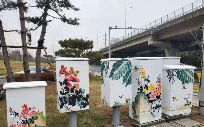 街頭配電箱變身“藝術(shù)品”，成為一道靚麗風景線